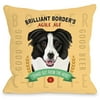 "Brilliant Border's Agile Ale" Indoor Throw Pillow by Retro Pets, 16"x16"
