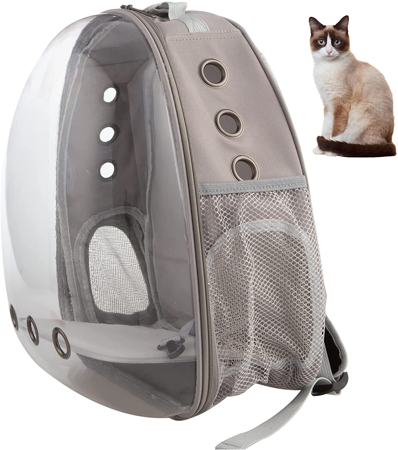 clear dog backpack