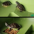 thumbnail image 6 of leaveforme Turtle Basking Platform with Suction Cups Playing and Feeding Stand Reptile Animal Rest Terrace Pet Supplies, 6 of 8