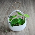 thumbnail image 4 of Ceramic Creative Personality Hanging Pot Wall Hanging Succulent Flower Pot With Drainage Holes, 4 of 10