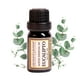 thumbnail image 1 of Aceite Esencial Aromas & Lavanda Eucalipto Fresco Descongestionante 10 ml, 1 of 4