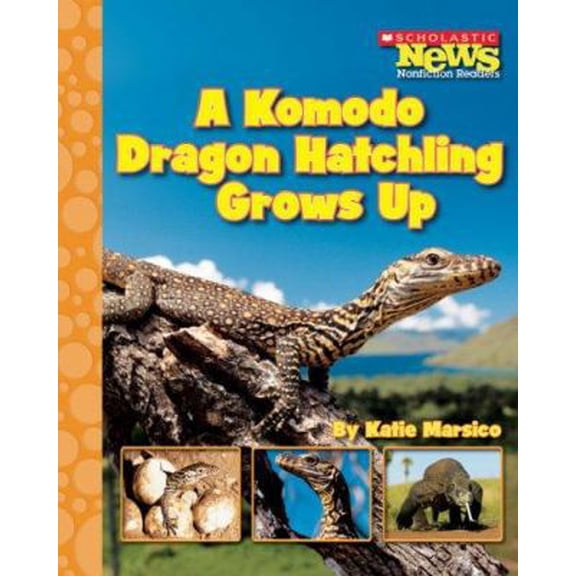 Pre-Owned Komodo Dragon Hatchling Grows Up (Paperback)