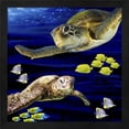 thumbnail image 1 of Metaverse R960040-0120000-AEAAAAEAN4 13.25 x 13.25 in. Sea Creatures Turtle Framed Wall Art by LightBoxJournal, 1 of 1