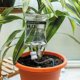 thumbnail image 1 of Dispositivo de riego por goteo para plantas de interior, sistema de riego automático, accesorios para el hogar, riego de plantas de interior, 350ml, 1 of 5