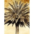 thumbnail image 2 of Nall, Skip 12x14 White Modern Wood Framed Museum Art Print Titled - Palms on Brown V, 2 of 4