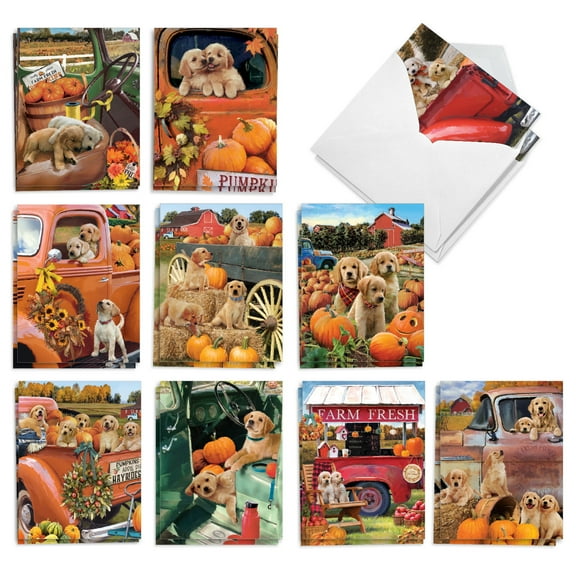 The Best Card Company 20 Assorted Thanksgiving Notecards Boxed Set 4 x 5.12 Inch with Envelopes (10 Designs, 2 Each) Pumpkin Puppies AM10191TGG-B2x10