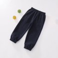 thumbnail image 2 of Coerni Toddler Boys Polar Fleece Jogger Sweatpants, Baby Winter Warm Pocket Lounging Bottoms Fall Winter Kids Sports Pants, 2 of 9