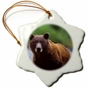 3dRose Alaska, Kenai Peninsula. Alaskan brown bear - US02 CSL0104 - Charles Sleicher - Snowflake Ornament, 3-inch