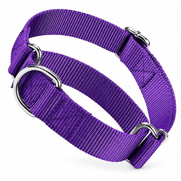 ELORIAH Choker Collar for Dogs,No Pull Martingale Dog Collar Escape Proof C" Dog Training Collars Adjustable for Small Medium Large Breed Pet Dogs,Purple M