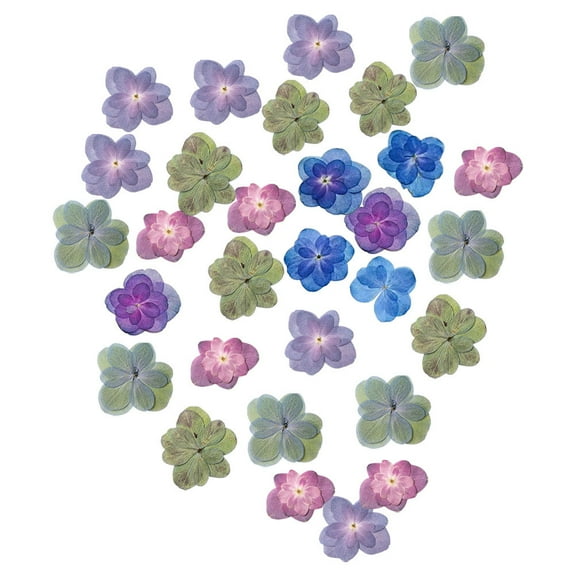 KAKOWELY Pressed Flowers Assorted Color 30Pcs 0.8X0.8X0.08In