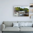 thumbnail image 3 of Trademark Fine Art 'Sabino Canyon Falls' Canvas Art by Mitch Catanzaro, 3 of 3