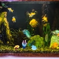 thumbnail image 4 of unbranded 10Ud De Coral Artificial Para Acuario En Resina Color Variado, 4 of 6