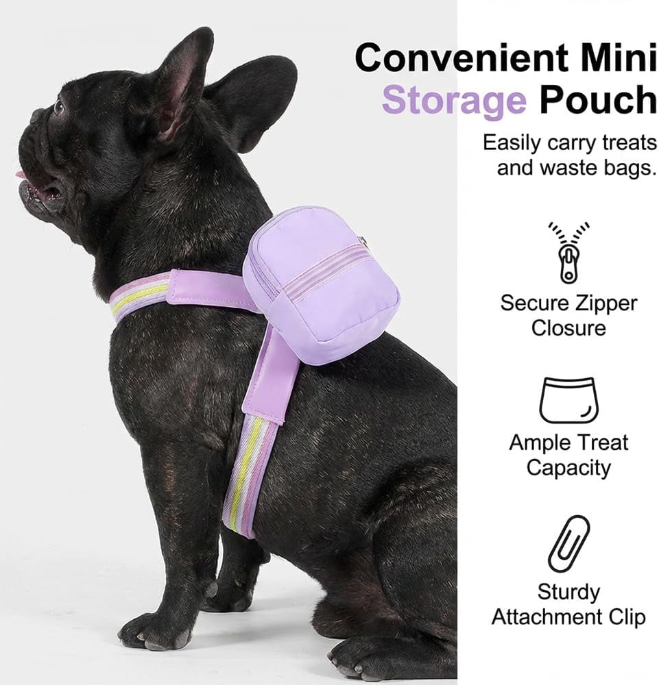 Step-in Cat Harness and Leash Set with Backpack, Reflective Mesh Vest