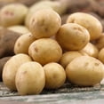 thumbnail image 5 of Yukon Gold Seed Potatoes for Planting, 2 Pound, Heirloom, High Yields Potato Seeds Gardening Indoor Outdoor, 5 of 5