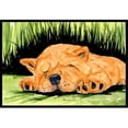 thumbnail image 1 of Carolines Treasures SS8526JMAT Chow Chow Doormat - 24 x 36 in., 1 of 4