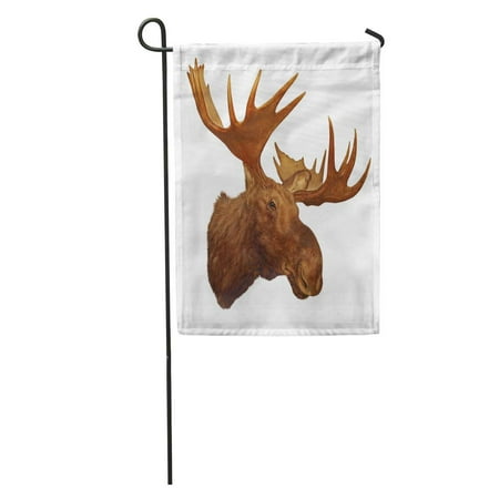 Moose Trophy Head SIDONKU Taxidermy Moose Head Antler White Trophy Big Rack Wilderness Garden Flag Decorative Flag House Banner 28x40 inch ()