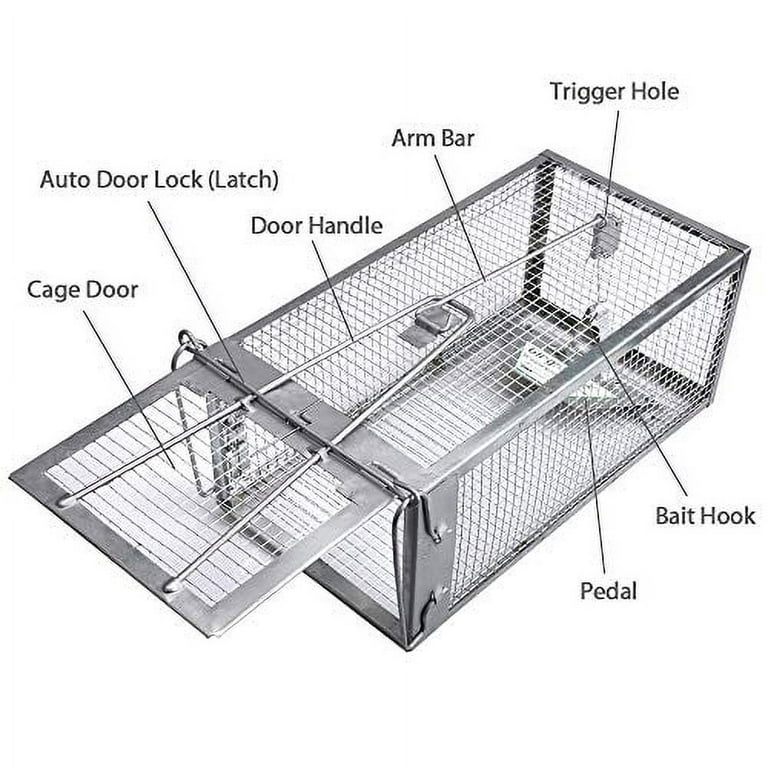 2-Pack Humane Rat Cage Traps, Live Mouse Rat Traps Catch and Release for  Indoor Outdoor, Small Animals Traps, Easy to use, Pet Safe ( 10.6x 5.5x