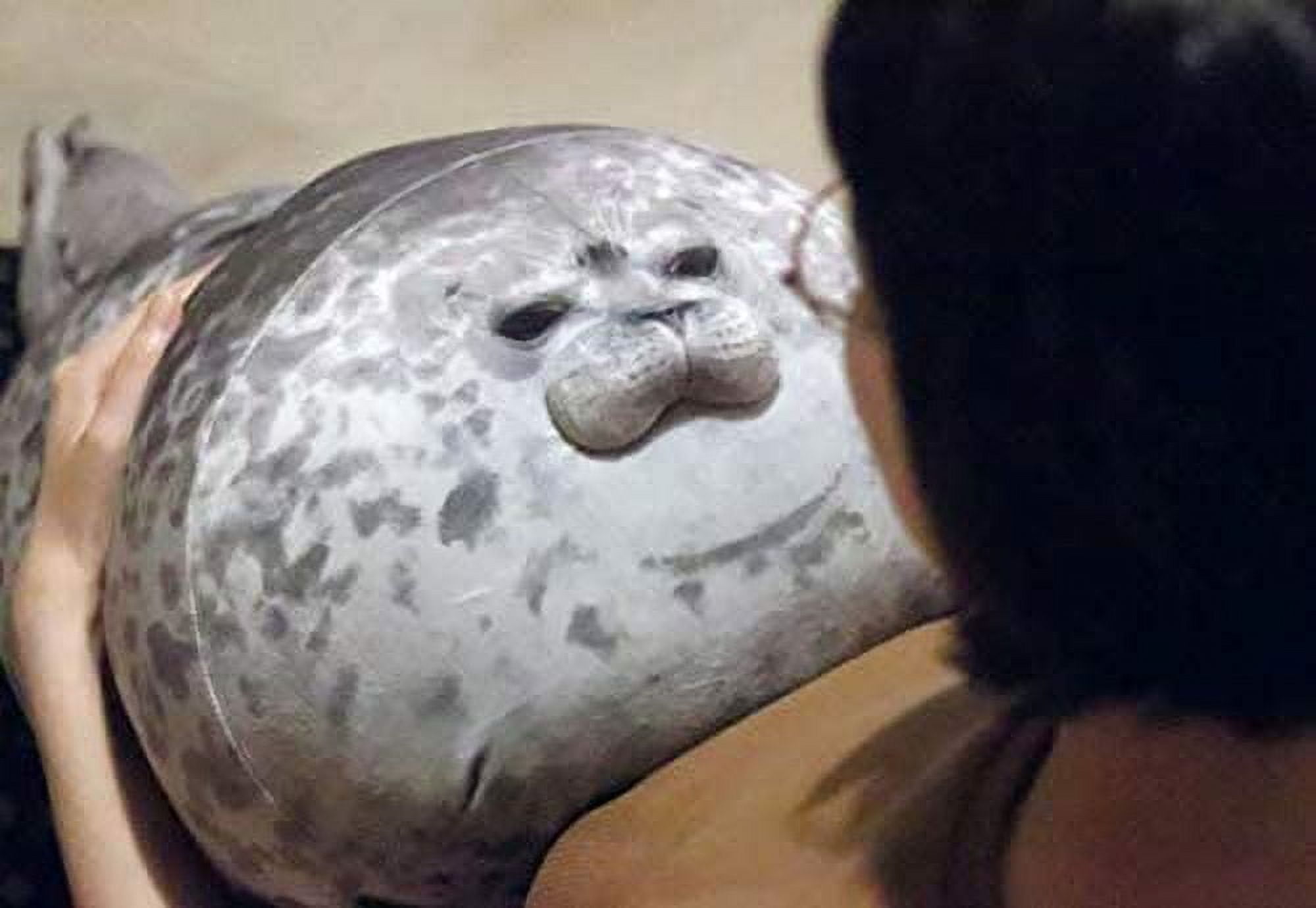 Chubby Blob Seal Plush Pillow, Cute Stuffed Animal Seal Plushie Toy, Cotton Plushy Ocean Gray 16 Inch