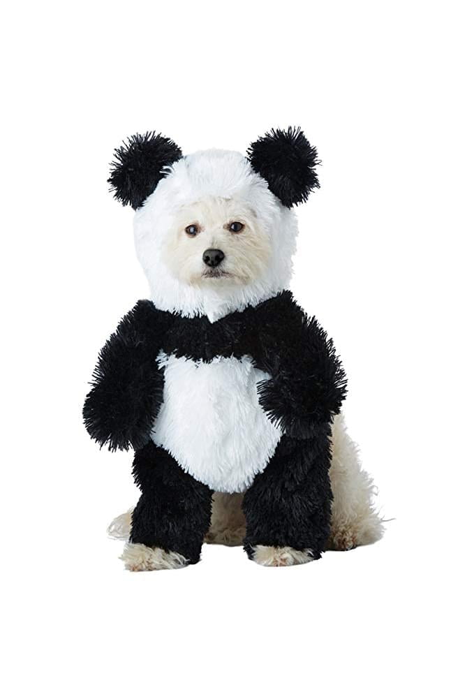 dog in a panda suit