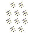 thumbnail image 3 of Inteprter 12 Pieces Dried Flower Crafts Simple Accessories Craft DIY Make Adornment Pressed Exquisite Handicrafts Flowers Makeup Tipo 1 10Conjunto, 3 of 6