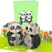 Valentine Panda In Love Pop Up Card