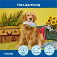 thumbnail image 5 of BARK The Lizard King Rainbow Plush Dog Toy Small/Medium, 5 of 9