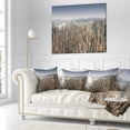 thumbnail image 3 of Designart NYC 360 Degree Panorama - Cityscape Photography Throw Pillow - 16x16, 3 of 5