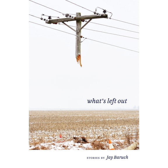 Literature and Medicine What's Left Out: Stories, (Paperback)