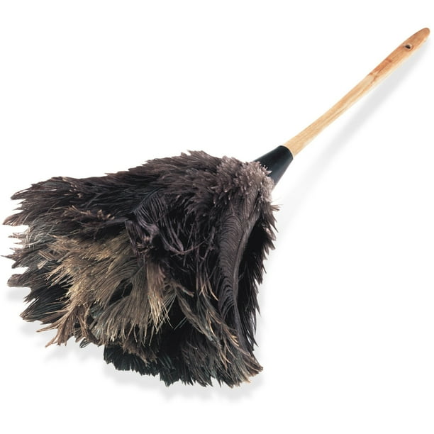 Feather Duster