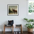 thumbnail image 3 of Art.com North Woods Moose II Art Print by David Cater Brown, Black Frame Wall Art, 29" x 29", 3 of 5