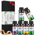 thumbnail image 1 of Essential Oils Set for Diffusers - Home Aromatherapy Oils Gift Set, 100% Natural Diffusers Oils Scents for Home, 6x10ML (Lavender, Eucalyptus, Lemon Grass, Sweet Orange, Peppermint, Tea Tree), 1 of 5