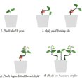 thumbnail image 3 of 30 Pack Plant Bender Angle Adjustable Plant Training Clips Low Stress Training Clips 90 Degrees Plan, 3 of 4