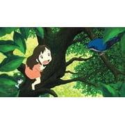 Wolf Children (Blu-ray + DVD), Funimation Prod, Anime