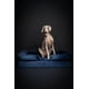 thumbnail image 5 of Cama ortopédica para perros NOAH & PAW XL, 114 x 89 x 28 cm, gel refrescante, 5 of 7