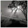 thumbnail image 1 of Great BIG Canvas | Rolled Ken Gillespie Poster Print entitled Foggy Morning And Assiniboine Park Footbridge, Winnipeg, Manitoba, Canada, 1 of 4