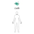 thumbnail image 3 of Camisa De Caballero Gop, 3 of 5