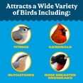 thumbnail image 5 of Pennington Feeding Frenzy Wild Bird Seeds, Wild Bird Food Mix, 20 lb., 5 of 11