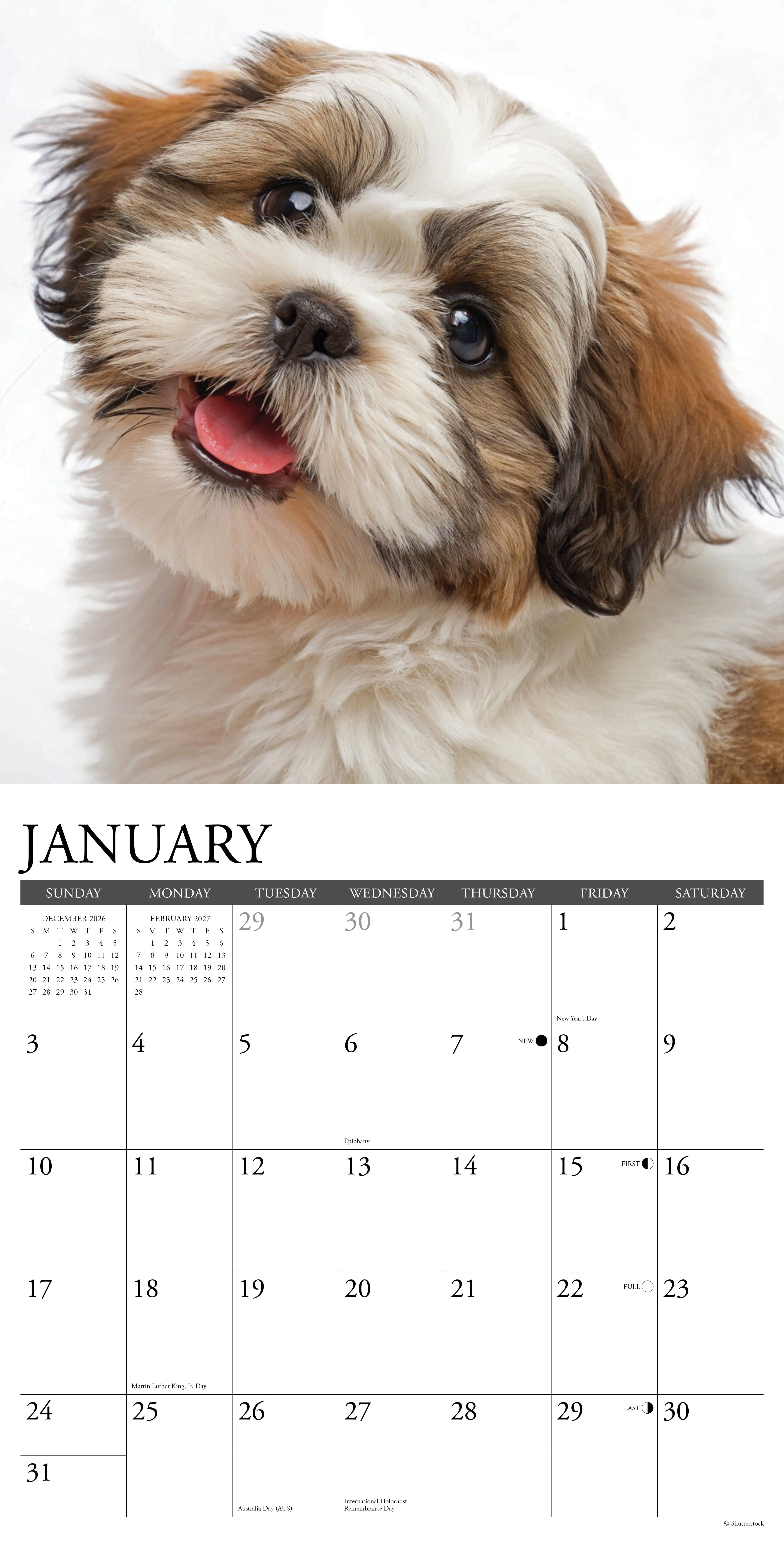 Willow Creek Press, Shih Tzu Puppies 2027 Wall Calendar