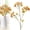Gold, variant on Tucknest Artificial Flowers for Outdoors, Fake Flowers Single Stem Myrtle, UV Resistant Artificial Outdoor Plants for Vase Wedding Centerpiece, White