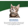 thumbnail image 3 of Farmina Vet Life Caloric Control Feline Dry Cat Food, 11 lb, 3 of 6