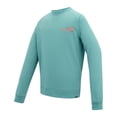 thumbnail image 3 of Regatta Mens Nithsdale Back Print Sweatshirt, 3 of 6