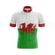 thumbnail image 4 of Maillot de ciclismo de manga corta para hombre de Gales, transpirable, de secado rápido, ropa para bicicleta de montaña o carretera, personalizable, para verano, MTB Cymru, 4 of 5