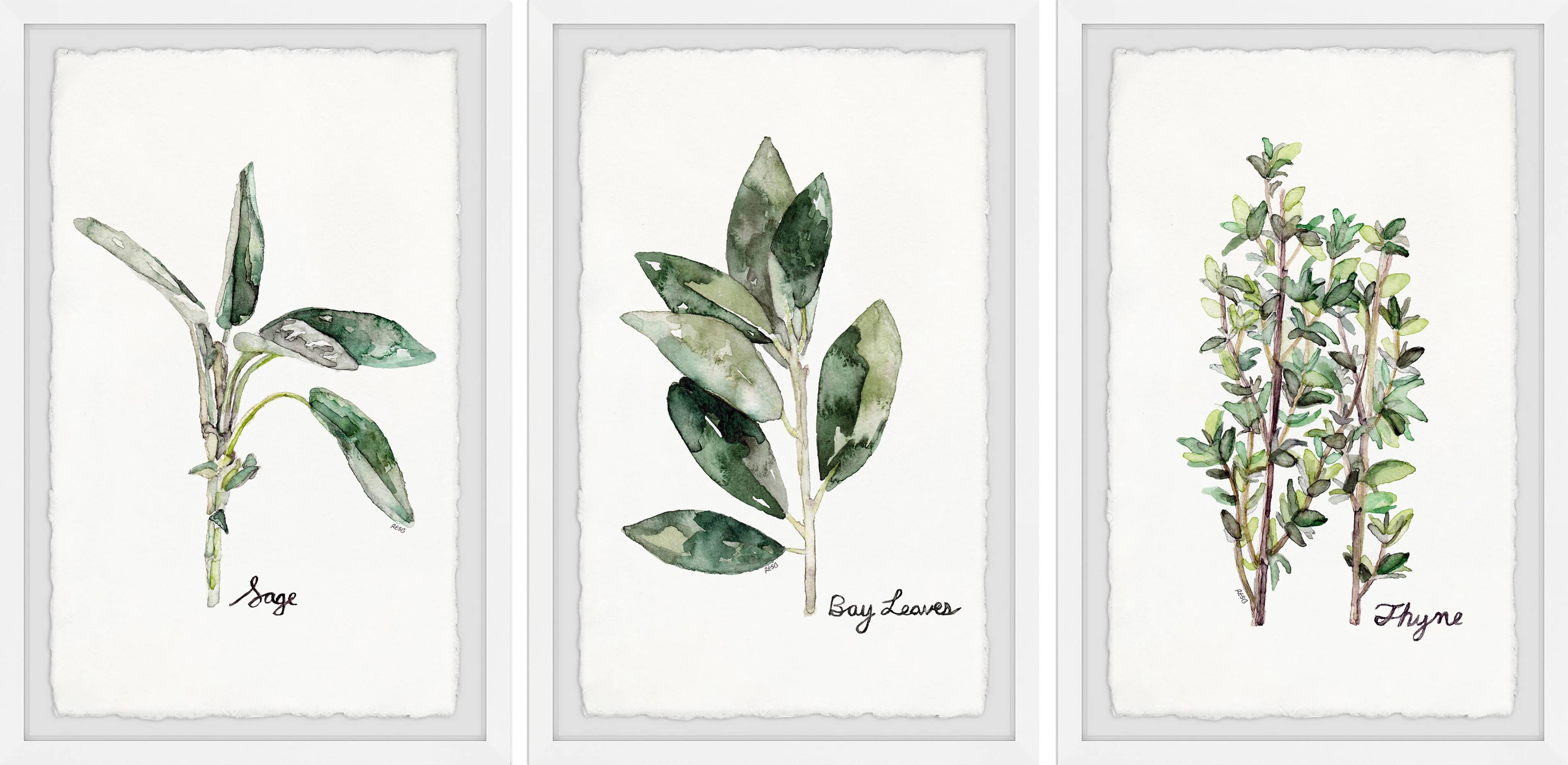 Herb Trio Triptych