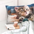 thumbnail image 4 of Honeii Playful Cat Print Pillow Cases,Plush Throw Pillow Covers,Decorative Pillowcase for Sofa, Couch, Living Room-14"x20", 4 of 6