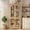 Natural, variant on 70" Kitchen Pantry Cabinet, Freestanding MDF Cupboard with 4 Arched Glass Doors & Adjustable Shelves, Food Organizer for Kitchen,Dining Room, Living Room, Bathroom, Maple Red