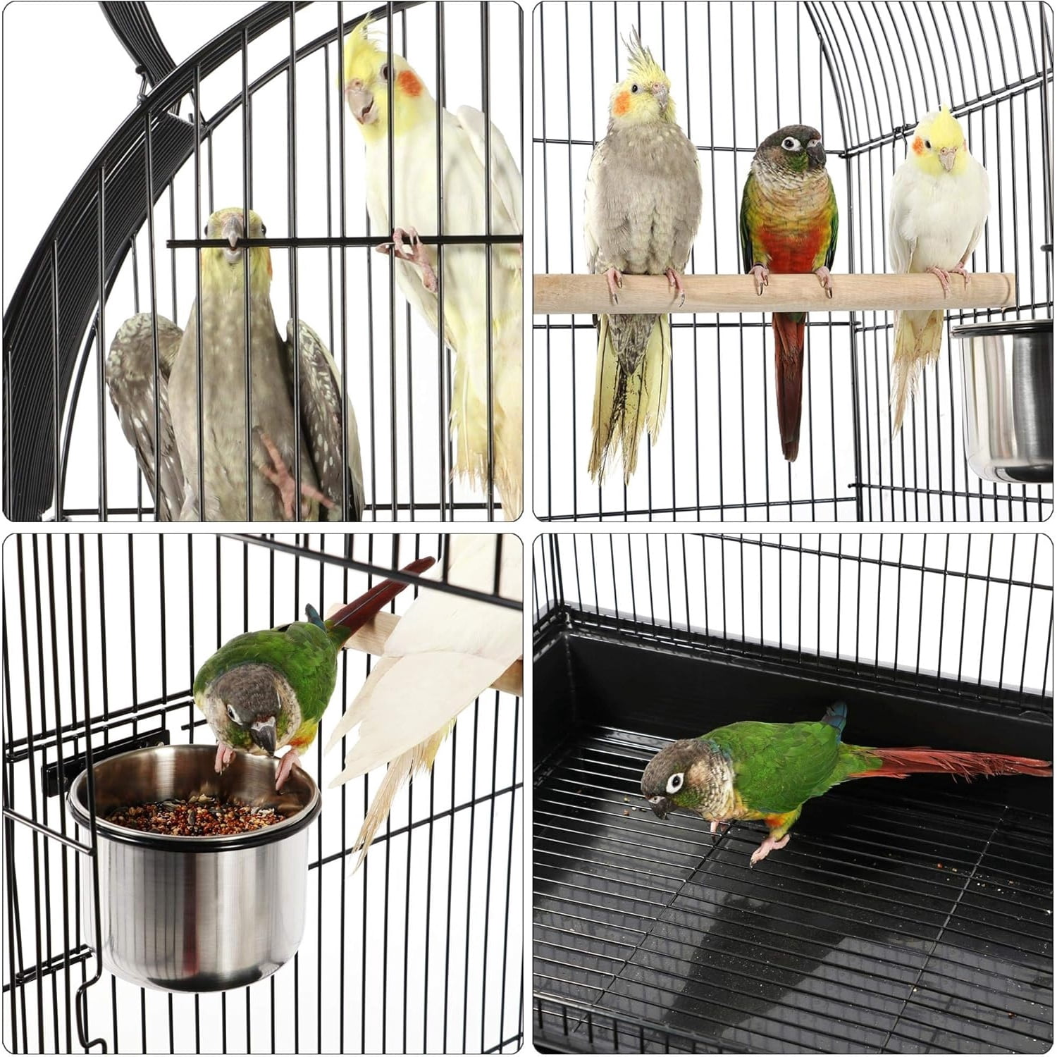 59-Inch Rolling Standing Medium Dome Open Top Bird Cage for Parrots Cockatiels Sun Conures Parakeets Lovebirds Budgies Finches Canary Pet Bird Cage with Removable Stand