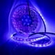 thumbnail image 3 of Tira de luz UV Tira de luces LED 16.4 pies 300 LED Luces de cuerda 12V Luces negras flexibles Luces Tomshoo  Luces de tira, 3 of 7