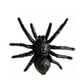 thumbnail image 3 of Qocolcyl 10 PCS Realistic Fake Spiders Halloween Decor, Black & Glow In Dark Mini Plastic Spider Props, Scary Prank Ornaments for Party Yard Window Indoor Outdoor Trick Or Treat Decor,Black, 3 of 8