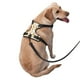 thumbnail image 2 of Fotbe Beer Bottles Arnés para Perro con Estampado –Chaleco Ajustable Acolchado con Asa de Control para Perros Grandes-Small, 2 of 6