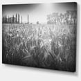 thumbnail image 2 of Champ de Blé Noir et Blanc, 2 of 3